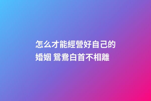 怎么才能經營好自己的婚姻 鴛鴦白首不相離